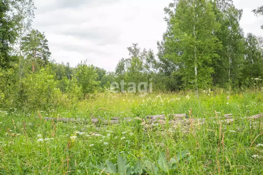 Участок в Новосибирская область, Новосибирский район, Барышевский ... - Фото 0