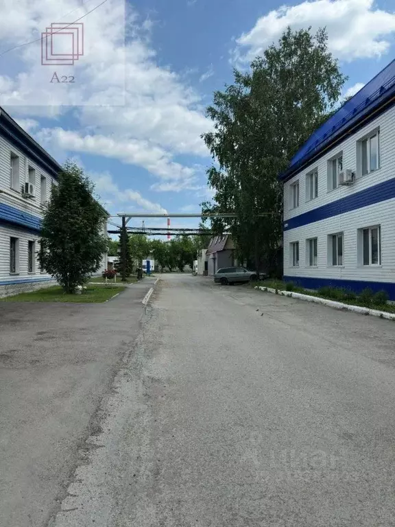 Помещение свободного назначения в Алтайский край, Барнаул просп. ... - Фото 0