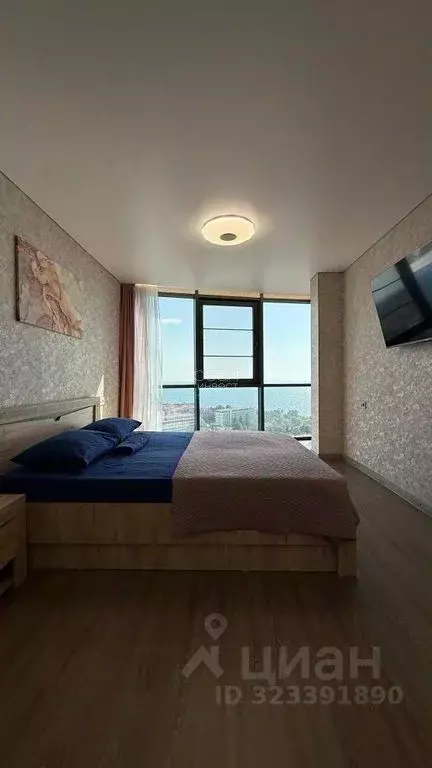 Студия Краснодарский край, Сочи ул. Ленина, 298Бк6 (33.0 м) - Фото 2