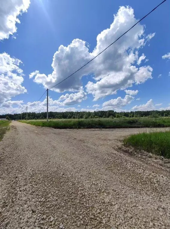 Участок в Ленинградская область, Тосненский район, Федоровское ... - Фото 2