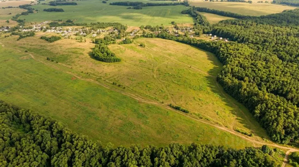 Участок в Тульская область, Ясногорский район, Ревякинское с/пос, с. ... - Фото 2