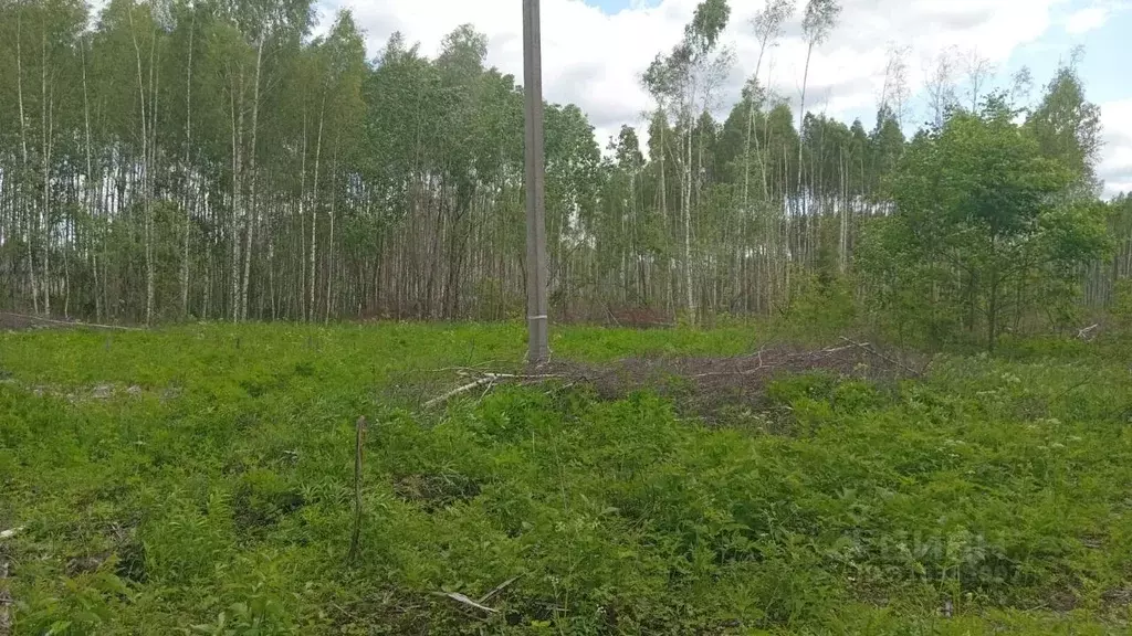 Участок в Владимирская область, Владимир ул. 3-я Сорокинская (8.77 ... - Фото 1