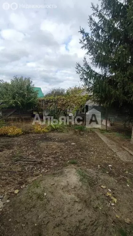 Участок в Тимашевск, микрорайон Восточный, Молодёжная улица (4 м) - Фото 1