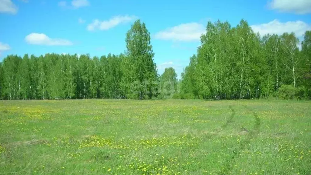 Участок в Ярославская область, с. Большое  (98.54 сот.) - Фото 0