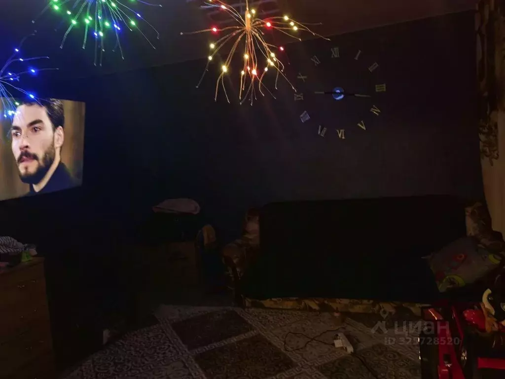 1-к кв. Красноярский край, Красноярск Саянская ул., 253 (29.9 м) - Фото 2