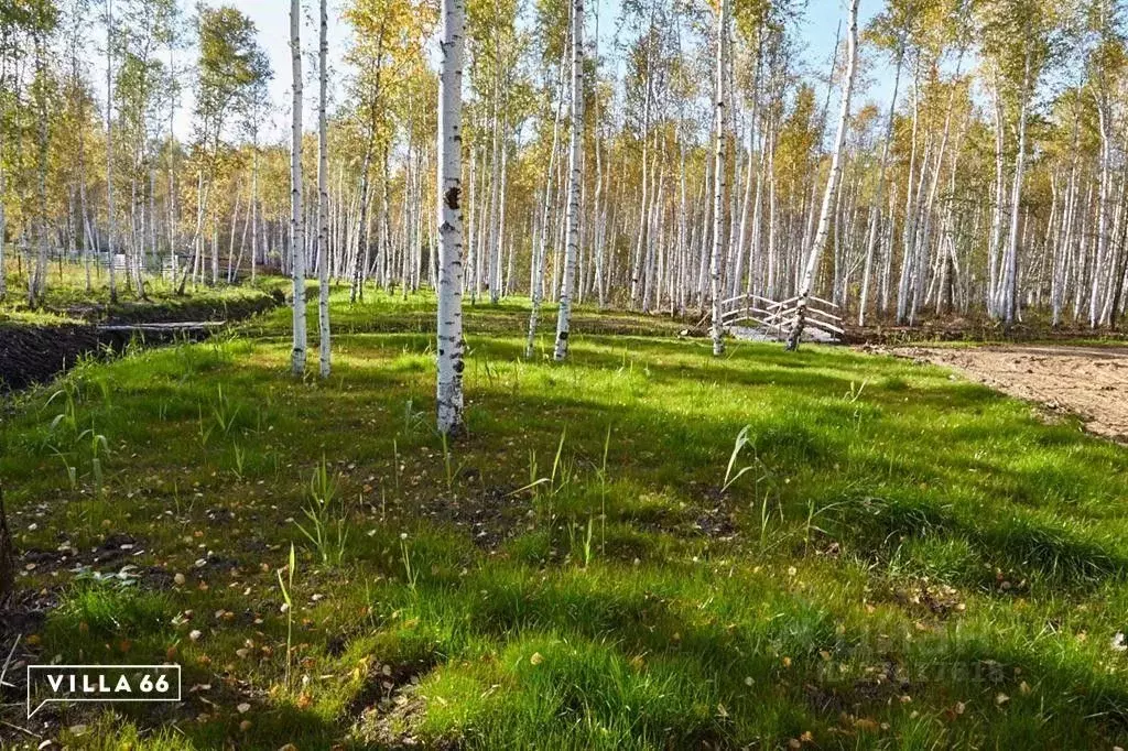 Участок в Свердловская область, Сысертский городской округ, пос. ... - Фото 0