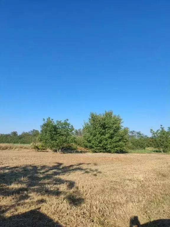 Участок в Краснодарский край, Динская ст-ца, Дачник ДНТ ул. ... - Фото 1