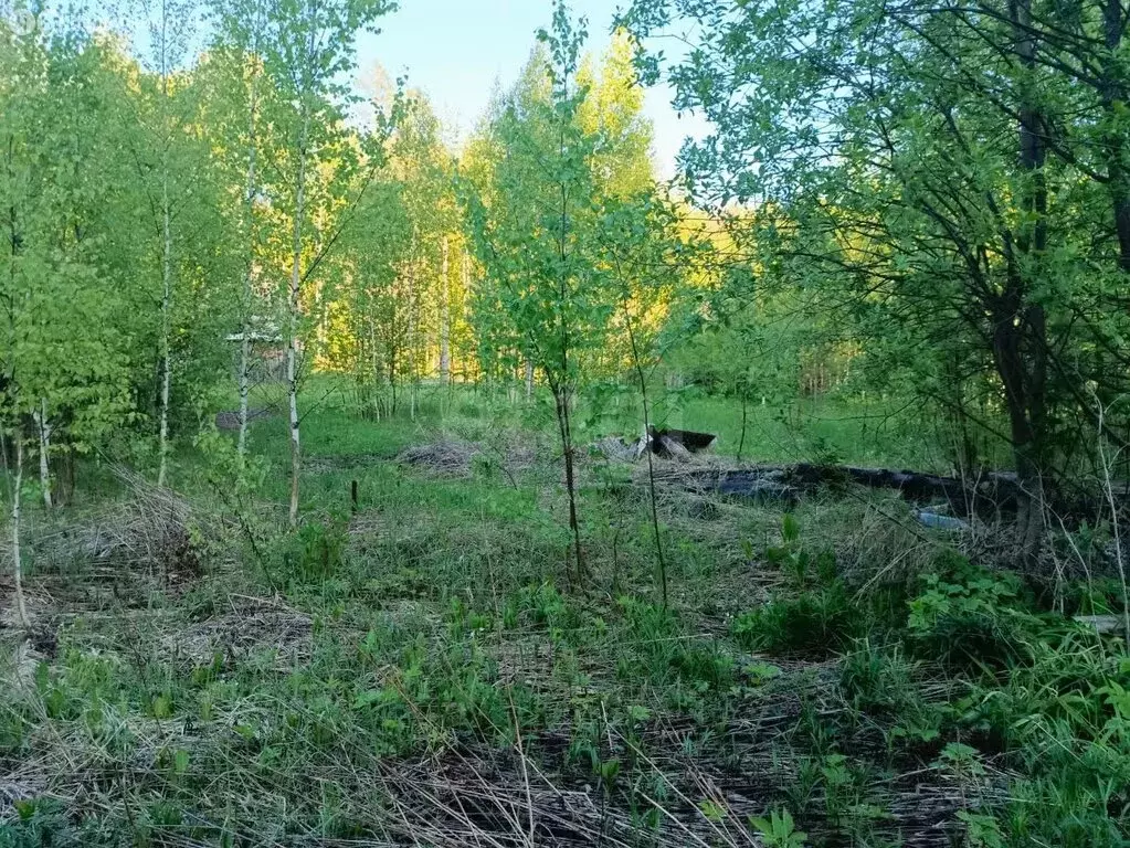 Участок в Новый, Зелёная улица (10 м) - Фото 2