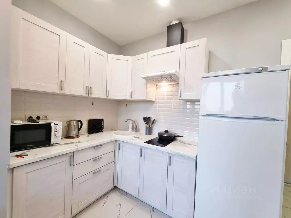 Студия Московская область, Мытищи городской округ, д. Бородино ул. ... - Фото 2