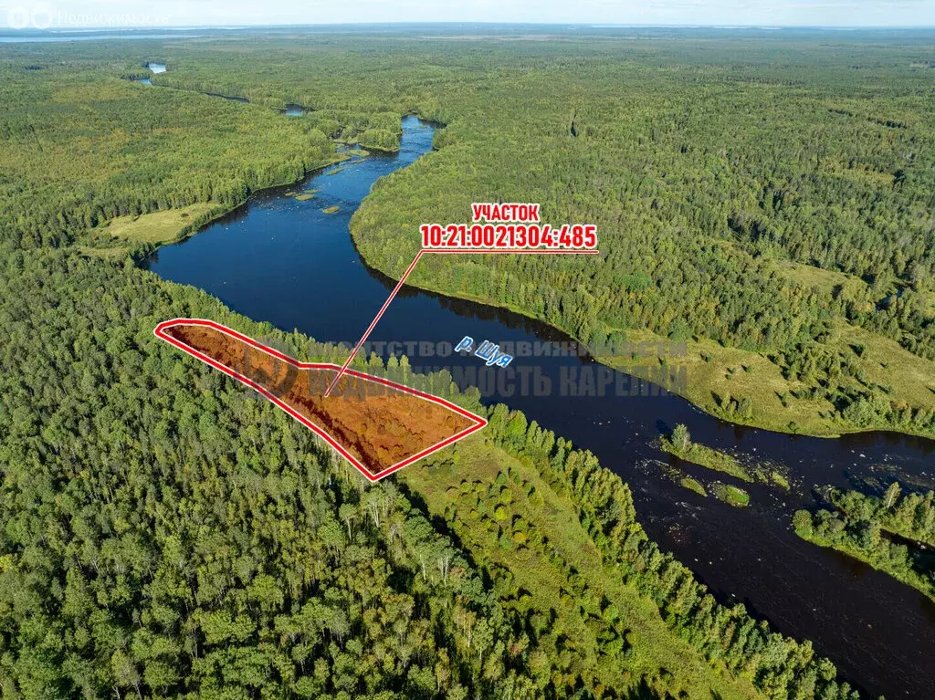 Участок в Республика Карелия, Пряжинское городское поселение, деревня ... - Фото 1