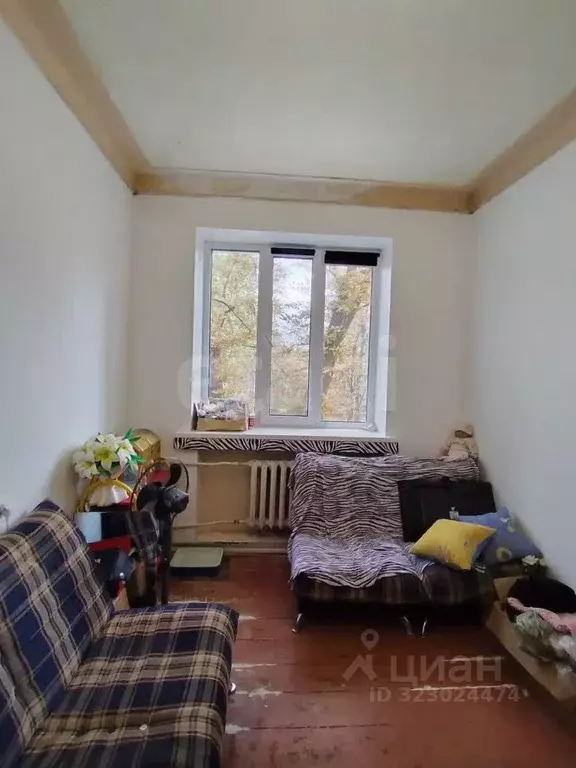 Комната Саратовская область, Саратов ул. Большая Садовая, 151 (14.0 м) - Фото 1