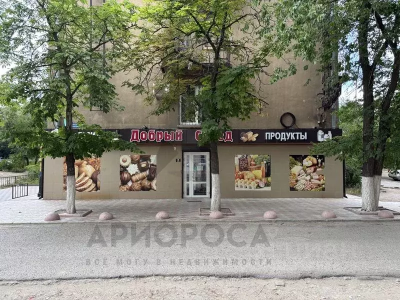 Помещение свободного назначения в Волгоградская область, Волгоград ул. ... - Фото 0