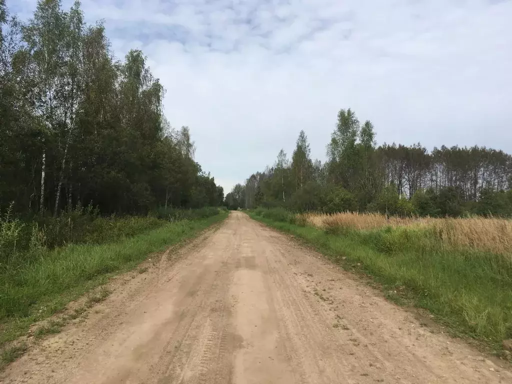Участок в Псковская область, Пушкиногорье городское поселение, д. ... - Фото 1