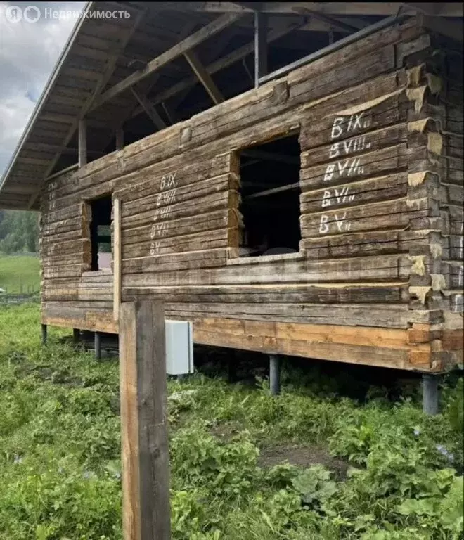 Участок в Чемальский район, село Нижний Куюм (24 м) - Фото 1