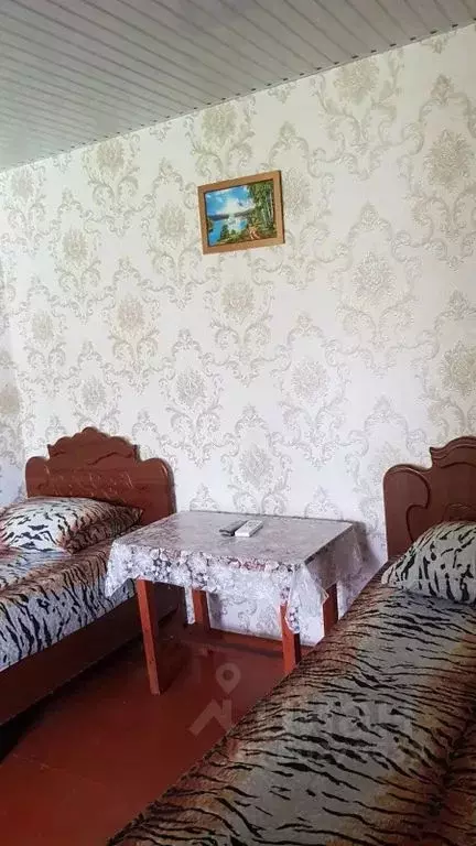 Комната Краснодарский край, Сочи ул. Лазарева, 7 - Фото 1