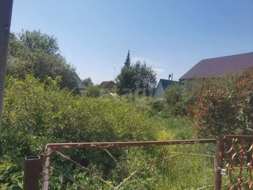 Участок в Башкортостан, Абзелиловский район, Краснобашкирский ... - Фото 1