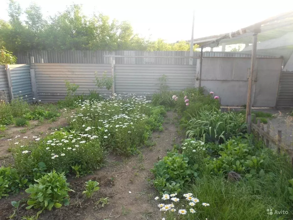 Участок в Оренбургская область, Оренбург Ситцовка мкр, ул. Невская, 33 ... - Фото 2