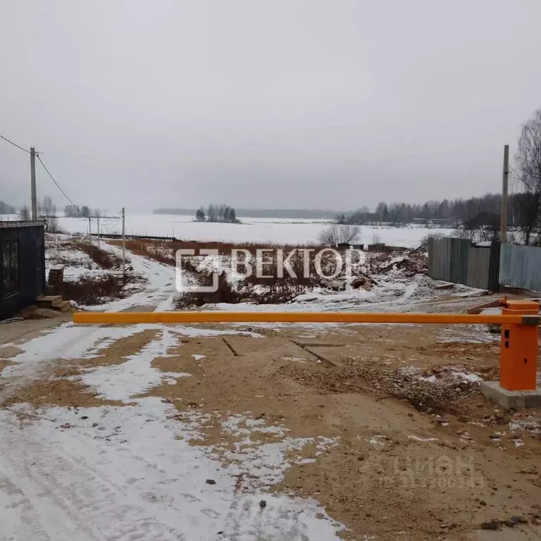 Участок в Костромская область, Красносельский район, Боровиковское ... - Фото 1