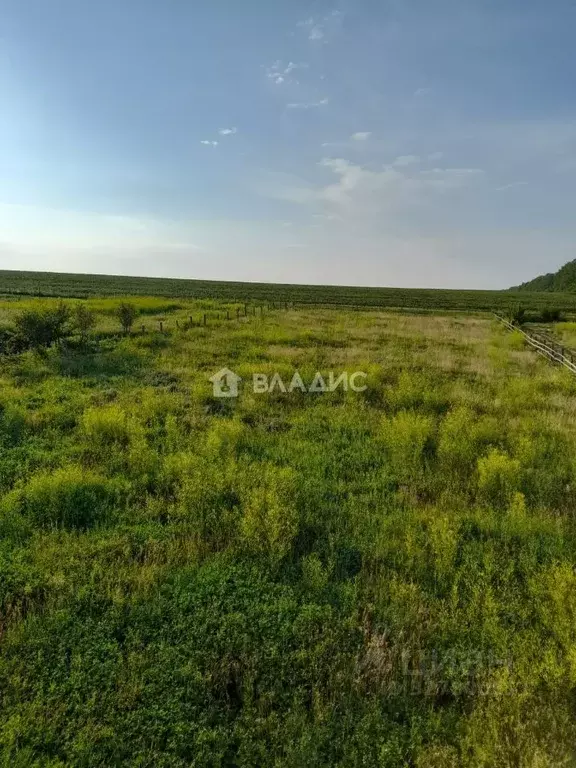 Участок в Башкортостан, Стерлитамакский район, с. Буриказганово  (14.5 ... - Фото 1