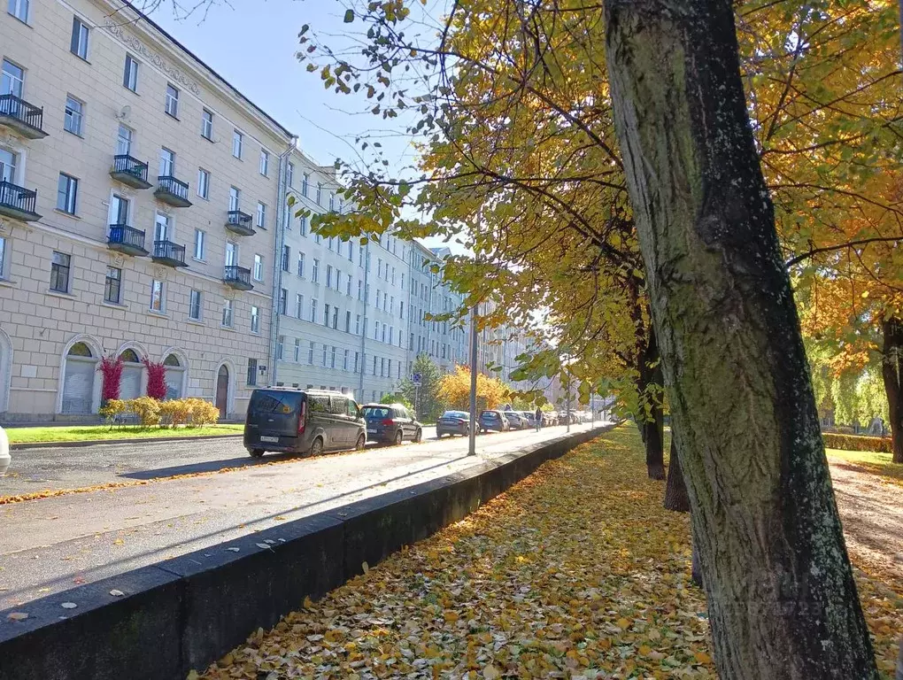 3-к кв. Санкт-Петербург ул. Опочинина, 9 (74.5 м) - Фото 1