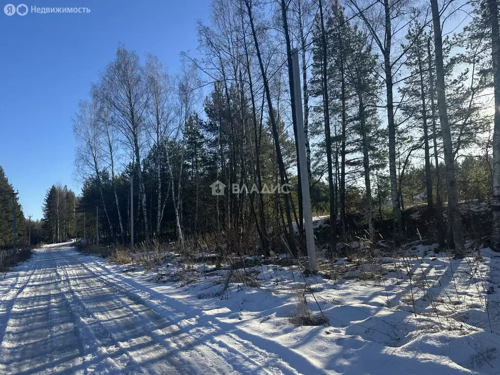 Участок в Судогодский район, муниципальное образование Вяткинское, ... - Фото 1