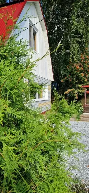 Дом в Омская область, Омск СОСН Мечта тер., 68 (70 м) - Фото 2