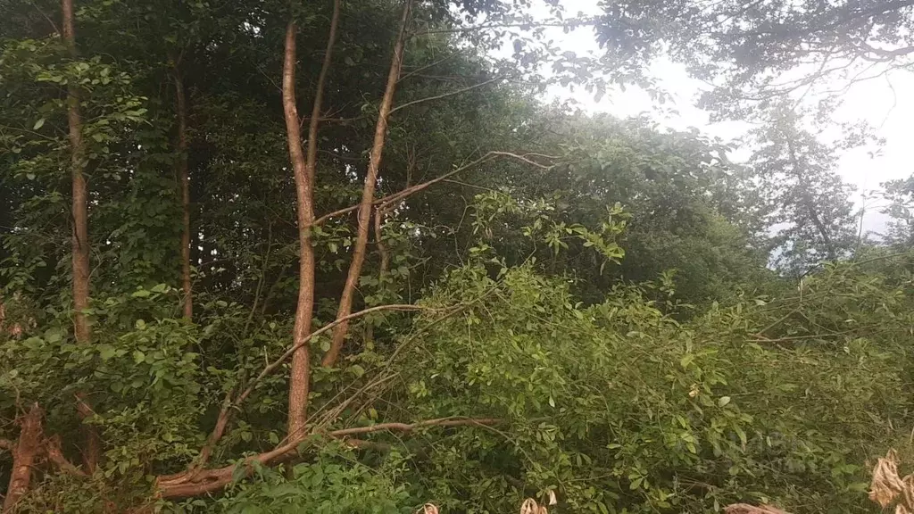 Участок в Северная Осетия, Владикавказ Учитель СТ, 303/1 (5.6 сот.) - Фото 0