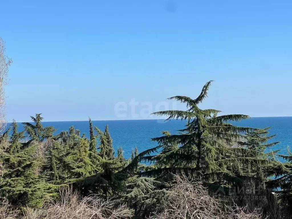 Студия Крым, Алушта ул. Парковая (41.51 м) - Фото 2