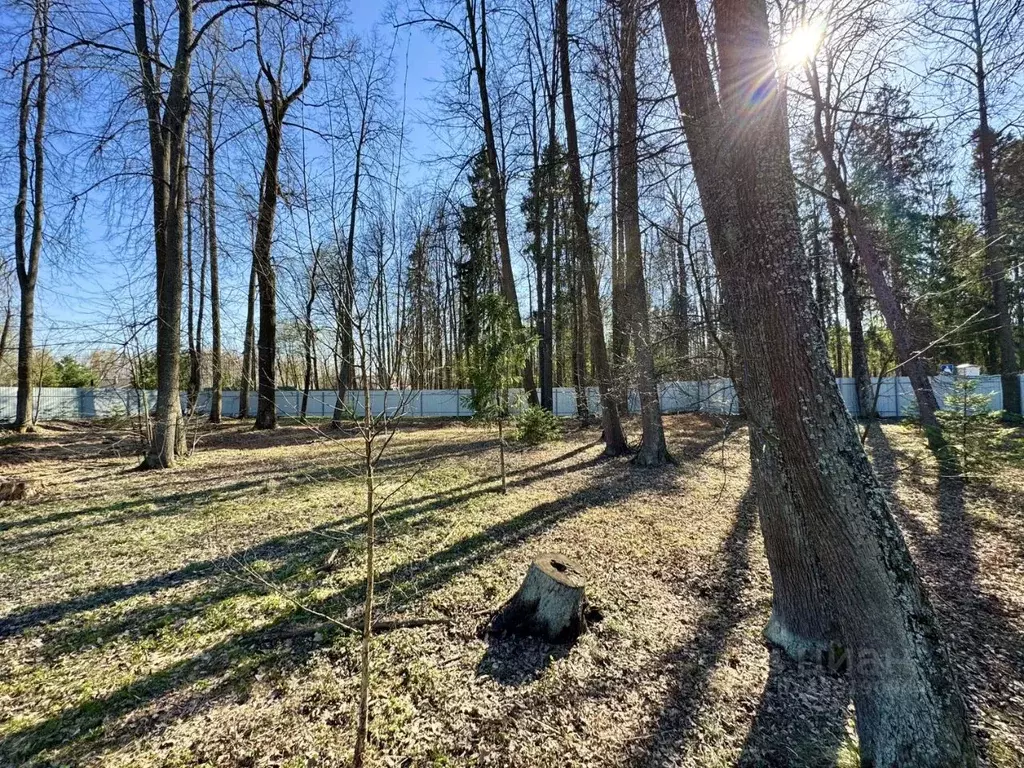 Участок в Московская область, Мытищи городской округ, с. Федоскино ул. ... - Фото 1