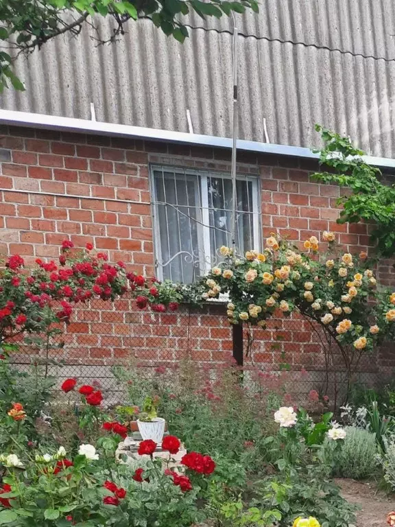 Дом в Крым, Керчь Степное-1 СПК, ул. Садовая (72 м) - Фото 0