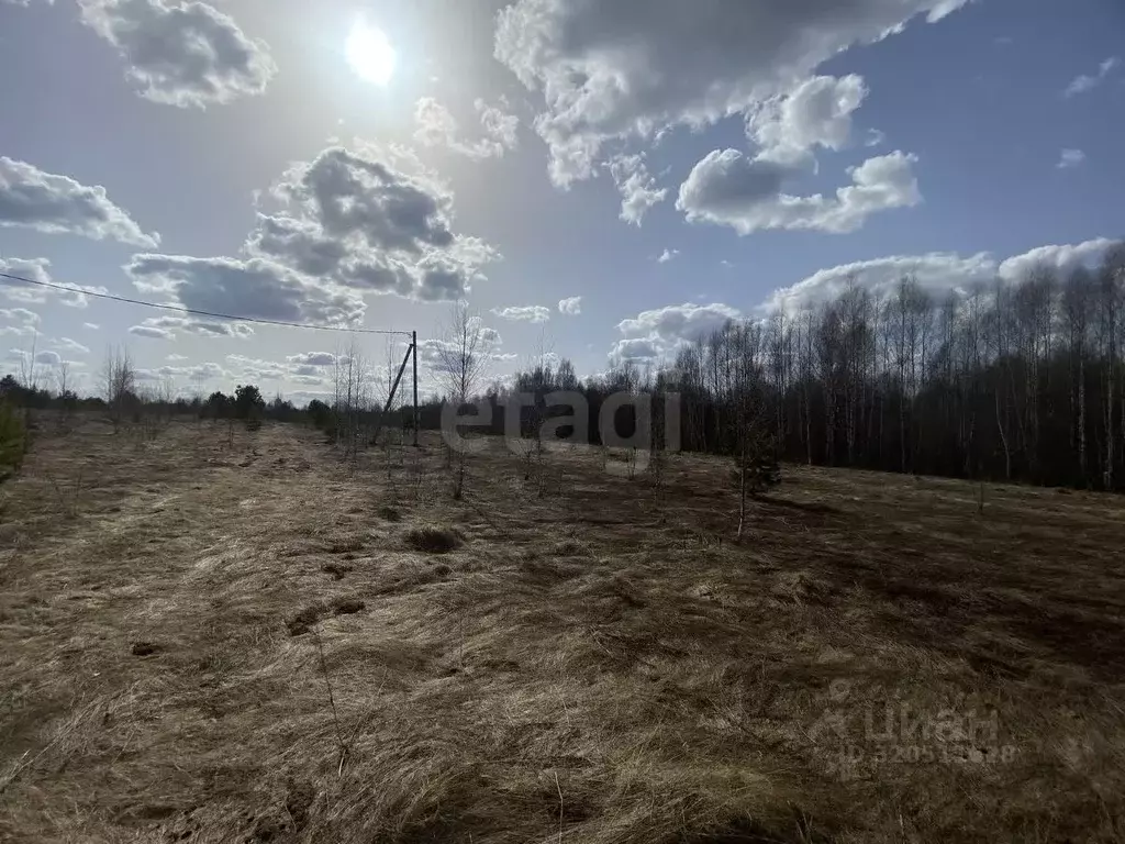 Участок в Костромская область, Судиславский район, Расловское с/пос, ... - Фото 2