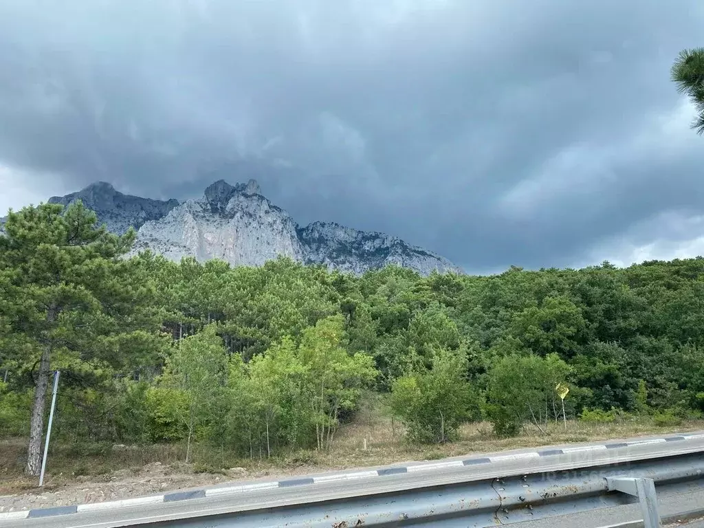 Участок в Крым, Ялта муниципальный округ, Кореиз пгт  (10.0 сот.) - Фото 1