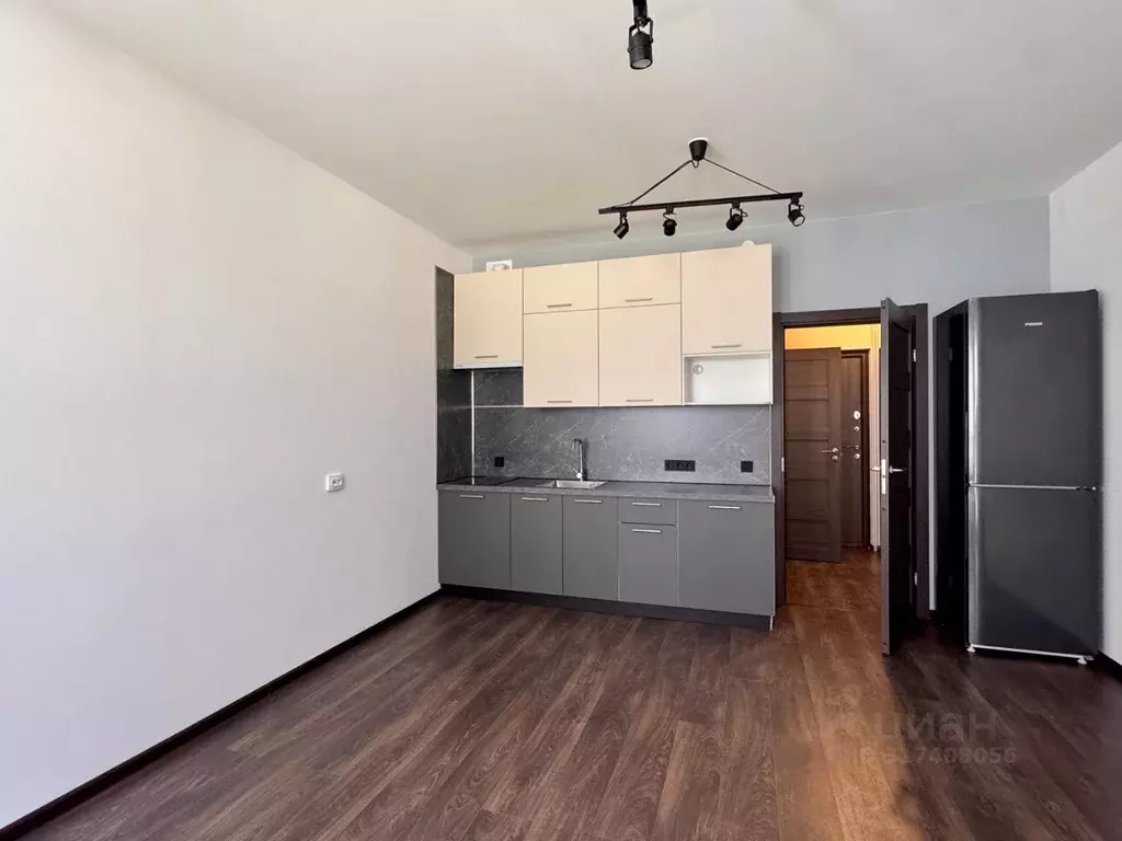 Студия Санкт-Петербург Фарфоровская ул., 7к1 (25.3 м) - Фото 0