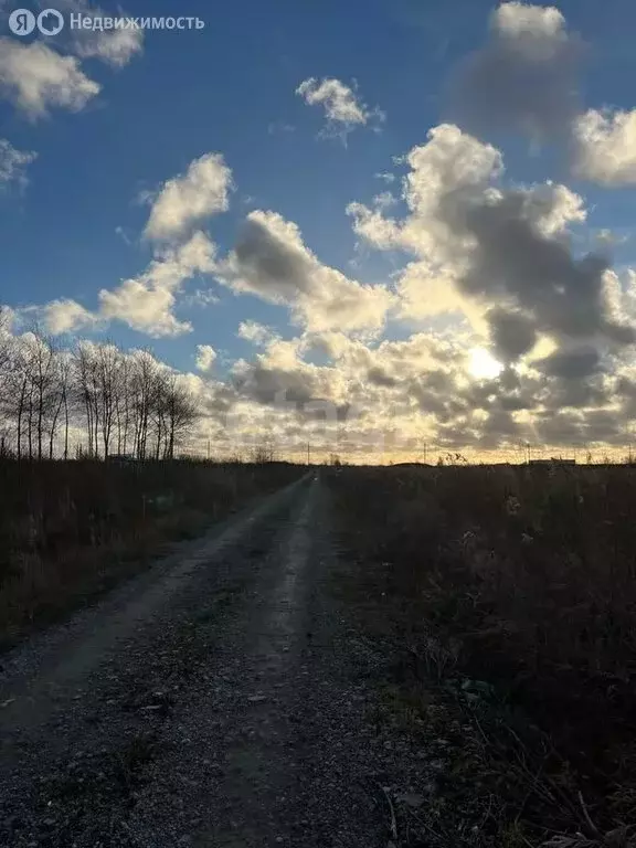 Участок в Зеленоградск, посёлок Клинцовка (8 м) - Фото 1