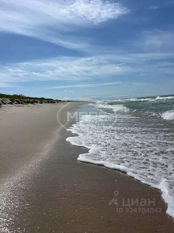 Участок в Калининградская область, Зеленоградский муниципальный округ, ... - Фото 1