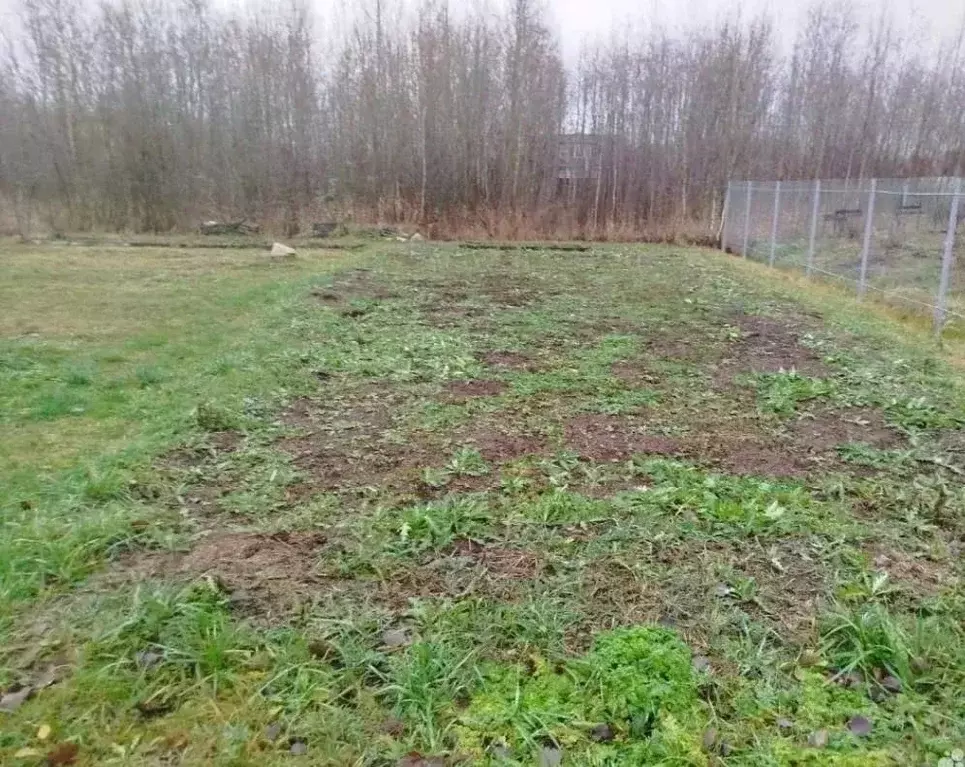 Участок в Ленинградская область, Кировский район, Синявинское ... - Фото 2