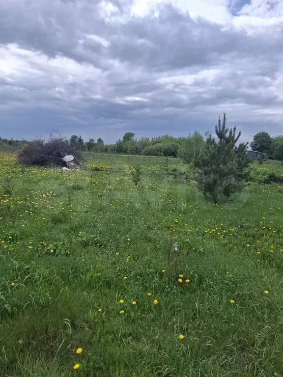 Участок 10 сот. (СНТ, ДНП) - Фото 1