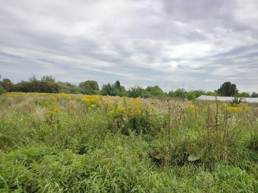 Участок в Новгородская область, Новгородский район, Бронницкое с/пос, ... - Фото 2