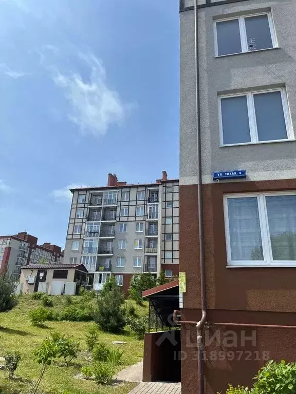 1-к кв. Калининградская область, Светлогорск Тихая ул., 8 (24.0 м) - Фото 1
