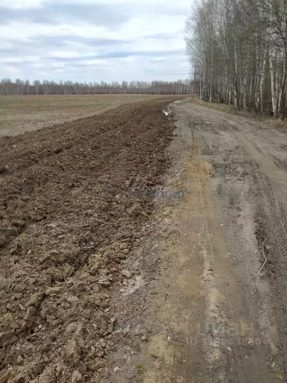 Участок в Нижегородская область, Богородский муниципальный округ, д. ... - Фото 0