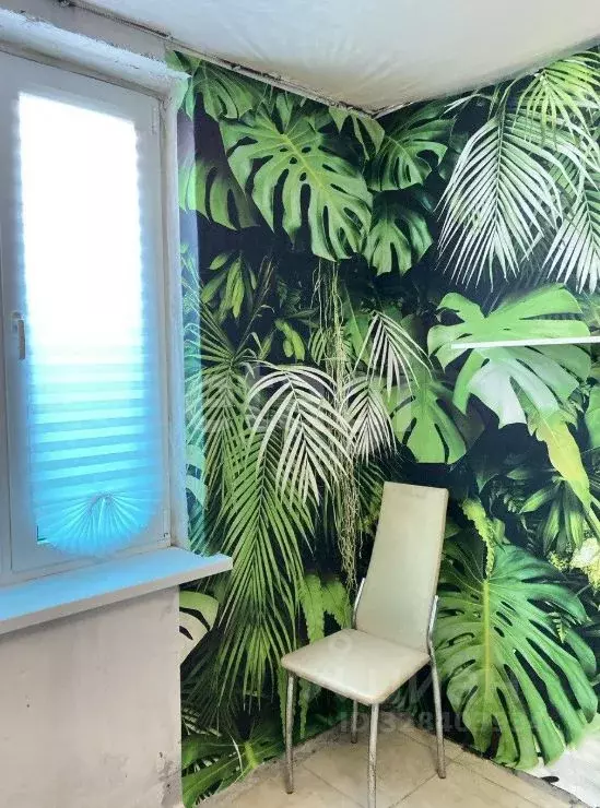 Офис в Краснодарский край, Анапа ул. Мирная, 29к10 (9 м) - Фото 1