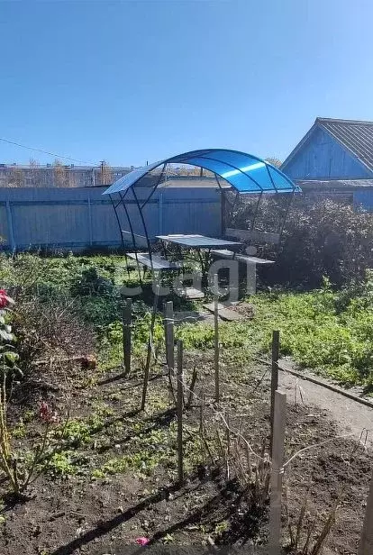 2-к кв. Амурская область, Октябрьский муниципальный округ, с. ... - Фото 1