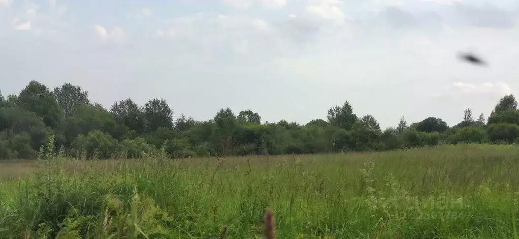 Участок в Московская область, Талдомский городской округ, д. ... - Фото 1