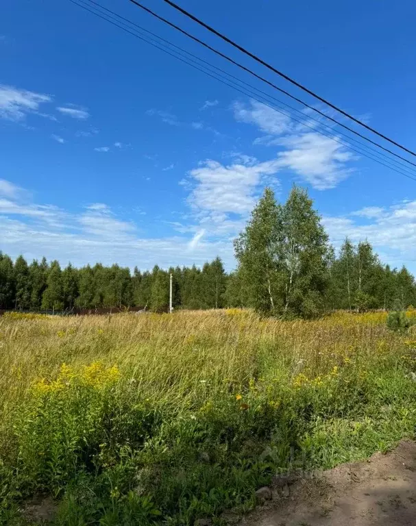 участок в московская область, серпухов городской округ, д. шепилово . - Фото 1