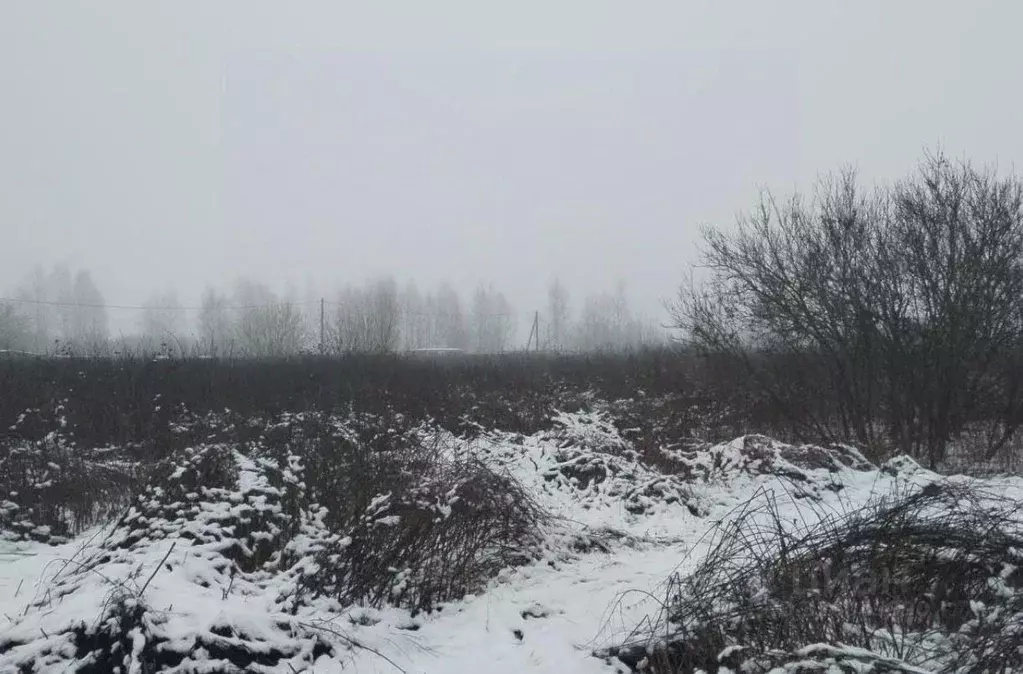 Участок в Московская область, Дмитровский муниципальный округ, д. ... - Фото 1