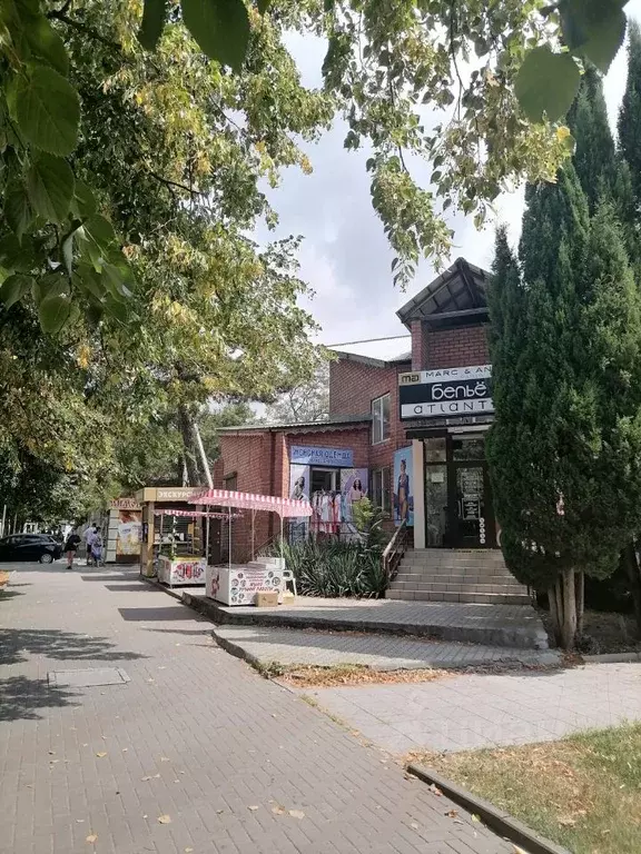 Помещение свободного назначения в Краснодарский край, Геленджик ул. ... - Фото 0