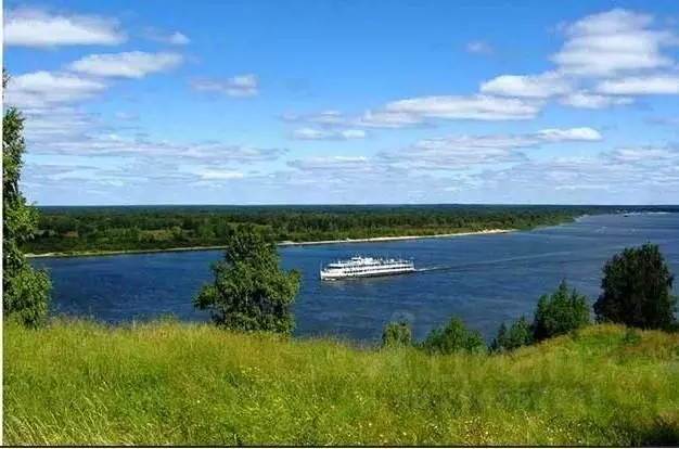 Участок в Нижегородская область, Кстовский муниципальный округ, с. ... - Фото 2
