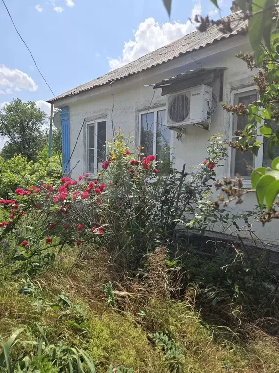Дом 43,6 м на участке 16,9 сот. - Фото 1
