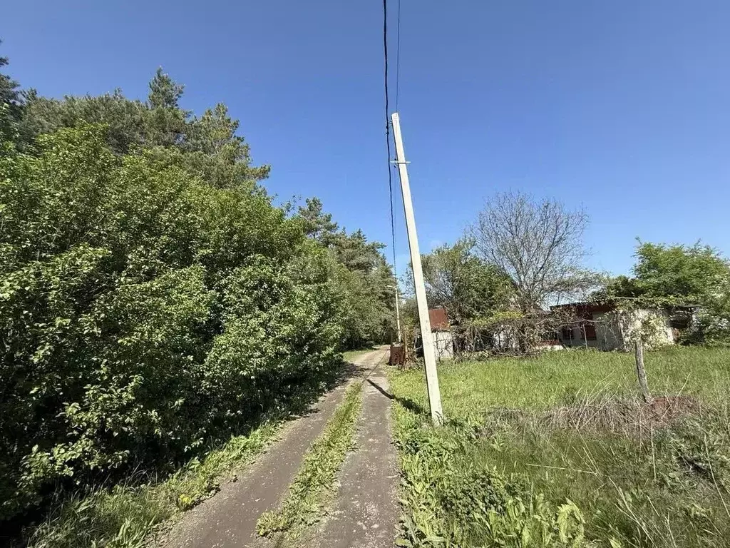 Участок в Белгородская область, Белгородский район, Дубовское с/пос, ... - Фото 0