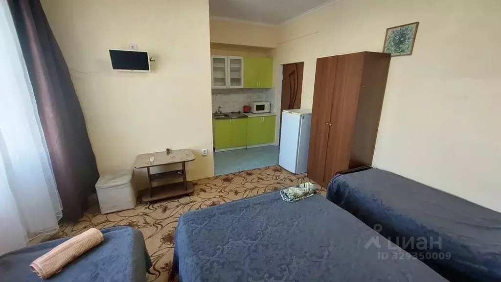 Студия Краснодарский край, Анапа ул. Буковая, 19 (28.0 м) - Фото 1